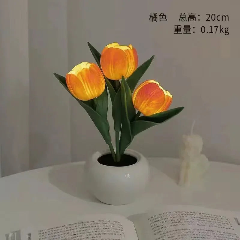 47387601174830|47387601207598