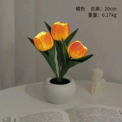 47387601174830|47387601207598