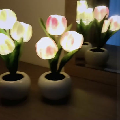 Tender-Tulip™️ Lamp - Portable Outdoor/Festival or Evening Mood Light